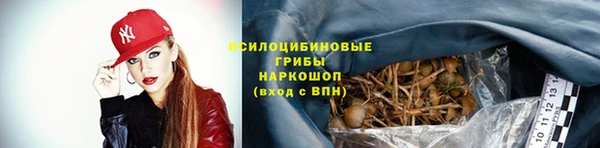 бошки Осташков