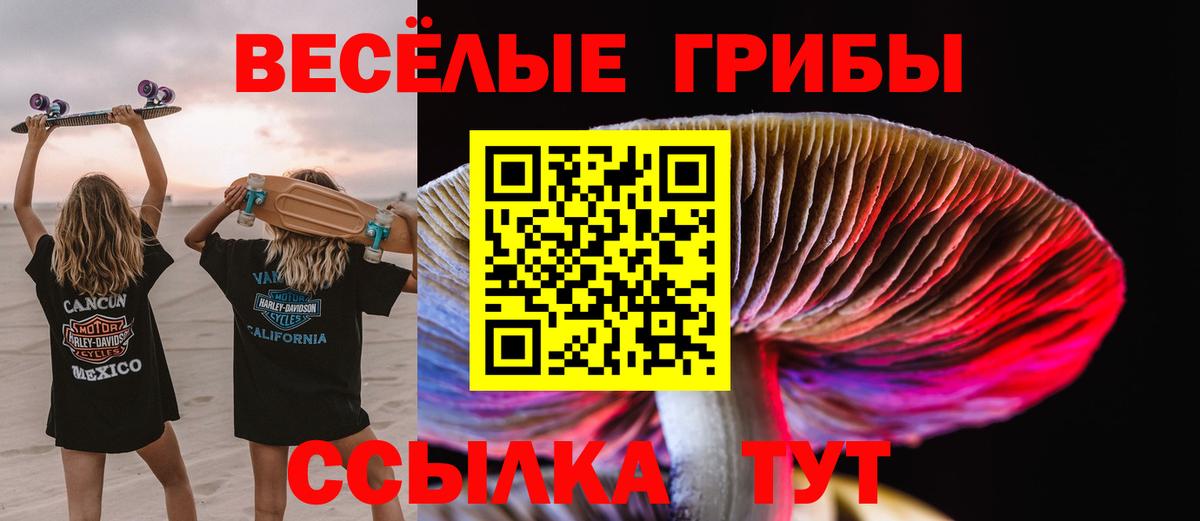 Галлюциногенные грибы мухоморы Ржев