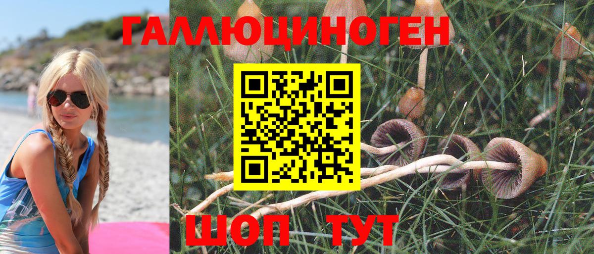 Псилоцибиновые грибы GOLDEN TEACHER  закладки  Ржев 