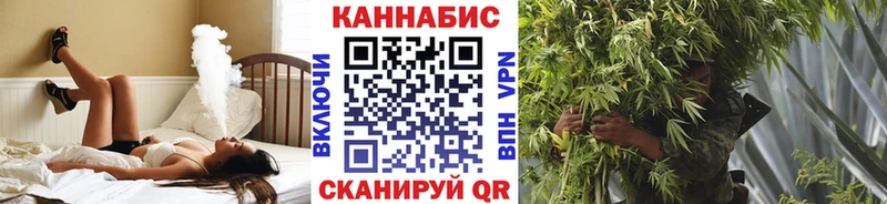 где найти наркотики  Ржев  Марихуана планчик 
